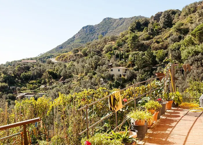 Casa Degli Olivi Levanto
