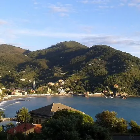 Apartment Casa Degli Olivi