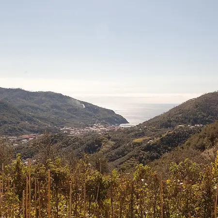 Casa Degli Olivi Apartment *