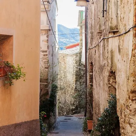 Casa Degli Olivi Apartment