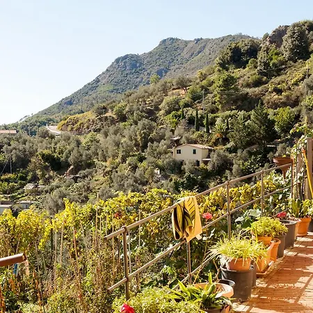 Casa Degli Olivi レヴァント