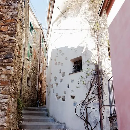 Casa Degli Olivi Apartment