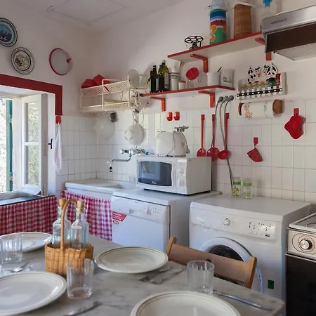 Apartment Casa Degli Olivi